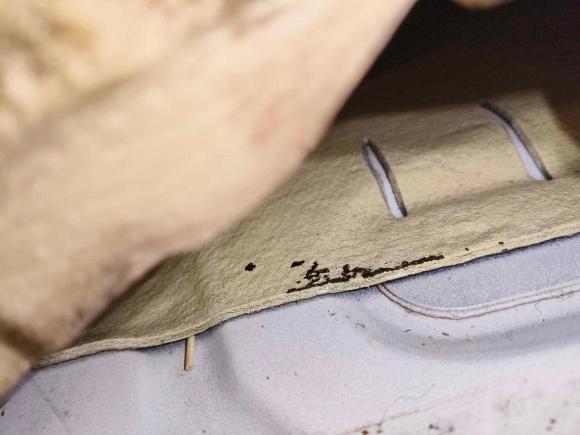 [成都·川G] 二手福特福睿斯2015款 1.5L 自动时尚型