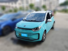 [绍兴·浙D] 思皓花仙子2021款 集美版 302km 豪华型