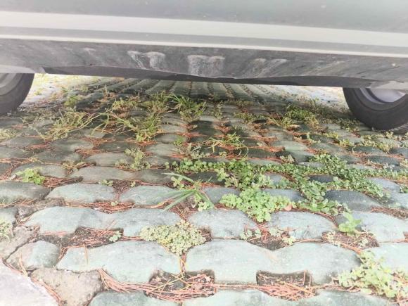 [苏州·苏E] 二手奥迪奥迪Q5L2020款 45 TFSI 尊享风雅型