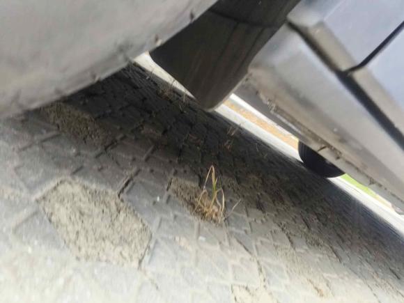 [上海·沪A] 二手大众ID.4 X2022款 纯净智享版