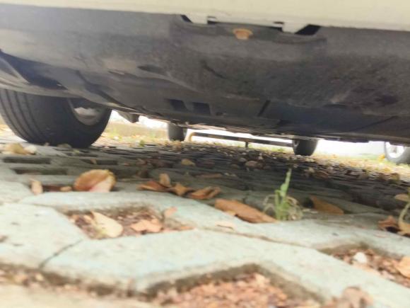 [嘉兴·浙F] 二手丰田卡罗拉2019款 1.2T S-CVT GL-i精英版