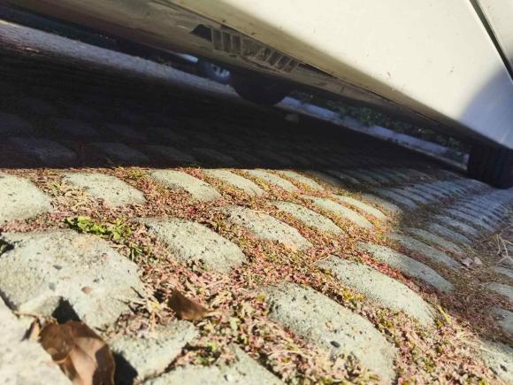 [苏州·苏E] 二手宝马宝马3系2013款 316i 进取型