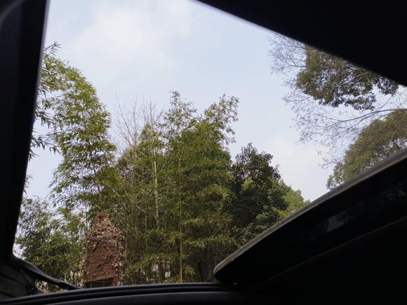 [上海·沪B] 二手保时捷Macan2020款 Macan 2.0T