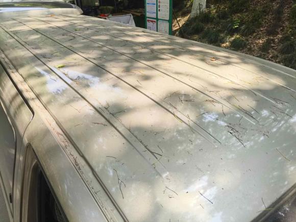 [上海·沪D] 二手金杯金杯海狮王2021款 2.0L城运王系列捷运型标准顶6座1TZS