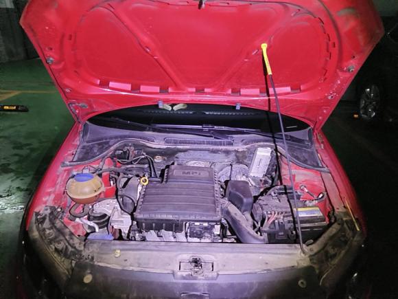 [杭州·浙A] 二手大众Polo2016款 1.6L 自动舒适型