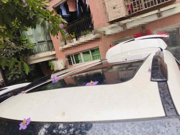 [深圳·粤S] 二手长安长安CS952017款 2.0T 四驱智驭版