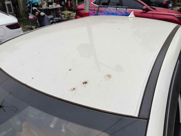 [成都·川A] 二手欧拉欧拉iQ2018款 智联型