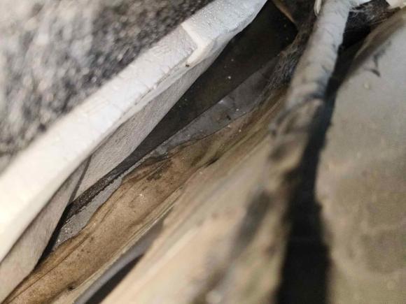 [西安·晋L] 二手日产轩逸2016款 1.6XL CVT豪华版