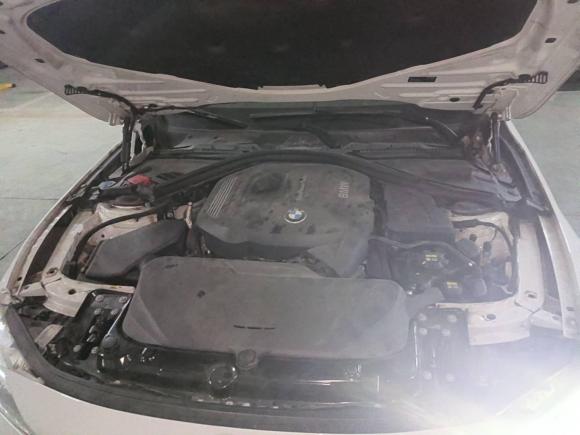 [南昌·赣A] 二手宝马宝马3系2017款 320Li M运动型