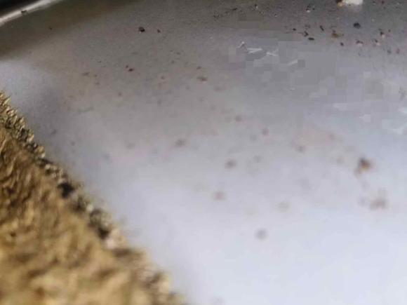 [南昌·赣M] 二手福特翼虎2015款 2.0L GTDi 四驱运动型