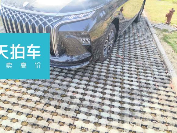 [苏州·苏E] 二手东风风行星海V92024款 1.5TD 200km 中国结系列 尊享型