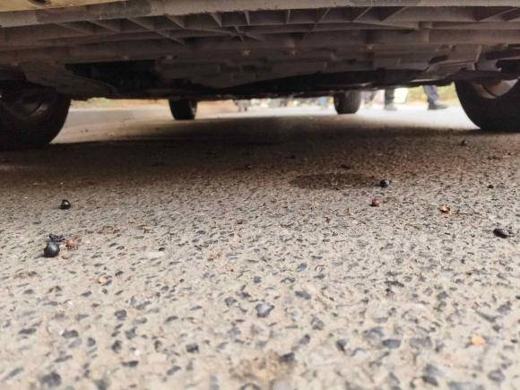 [南昌·赣A] 二手启辰启辰D602019款 十万荣耀 1.6L XL CVT辰酷版 国V