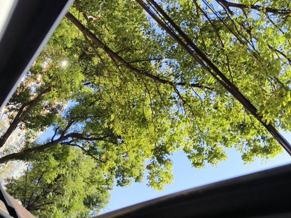 [上海·沪A] 二手大众探岳X2020款 330TSI 两驱尊贵智联版