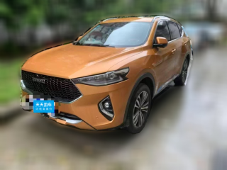 哈弗哈弗F72019款 2.0T 四驱70周年限量版「芜湖二手车」「天天拍车」