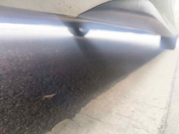 [嘉兴·浙F] 二手埃安AION S2019款 魅Evo 630