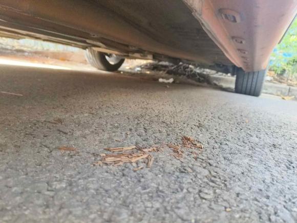 [深圳·桂B] 二手名爵MG62021款 Pro 1.5T 自动Trophy豪华版