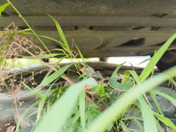 [南京·苏A] 二手大众朗逸2014款 1.4TSI DSG 30周年纪念版