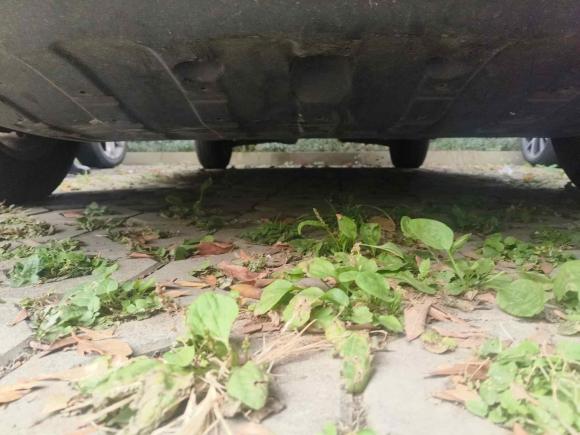 [成都·川A] 二手现代北京现代ix352013款 2.0L 自动两驱舒适型GL 国IV