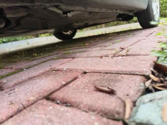 [嘉兴·浙F] 二手smartsmart fortwo2011款 1.0 MHD 硬顶标准版