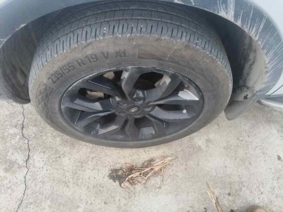 [上海·沪C] 二手路虎发现神行2019款 240PS HSE版 国V