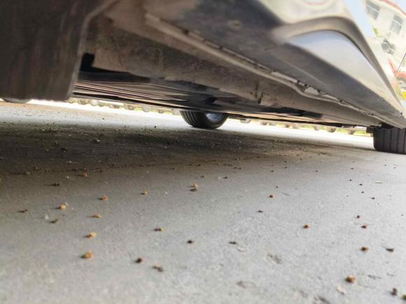 [青岛·鲁B] 二手领克领克032020款 03+ 2.0TD 自动驭风版