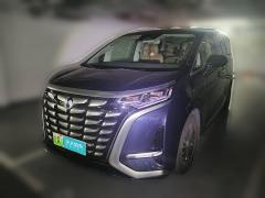 [杭州·浙A] 腾势腾势D92022款 DM-i 970 四驱尊荣型