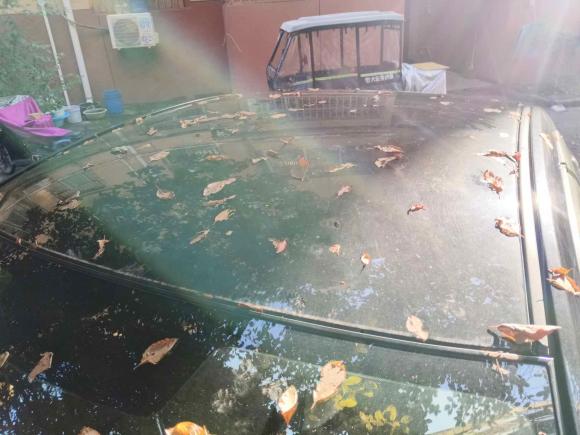 [西安·陕E] 二手马自达马自达3星骋2011款 三厢 1.6L 自动舒适型