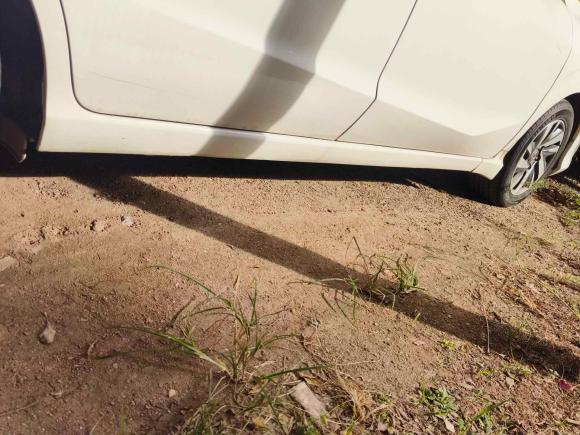 [广州·粤S] 二手本田凌派2019款 180Turbo CVT领先版 国V