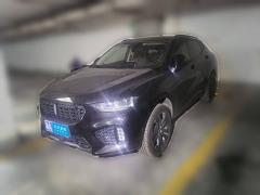 [杭州·浙A] 魏牌魏牌 VV52017款 2.0T 旗舰型