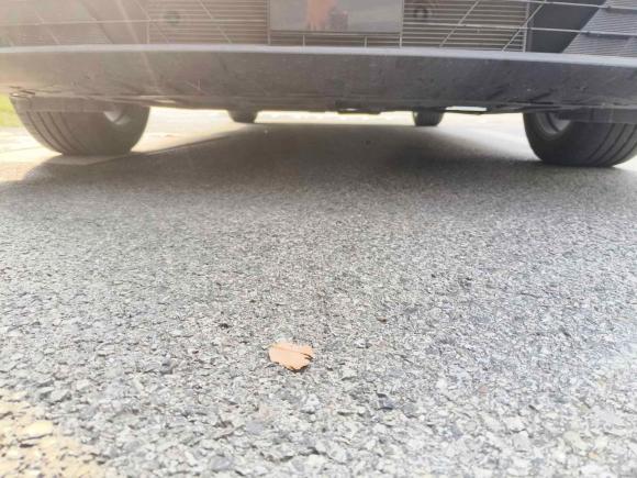 [上海·浙F] 二手长安逸动2024款 1.5T GDI自动 尊贵型