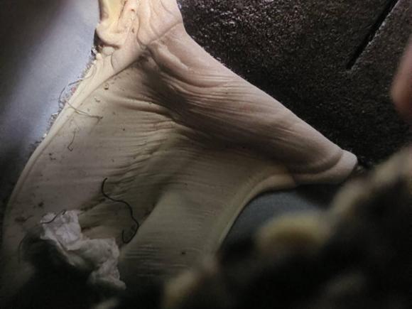 [南昌·赣A] 二手丰田RAV4荣放2013款 2.0L CVT四驱新锐版