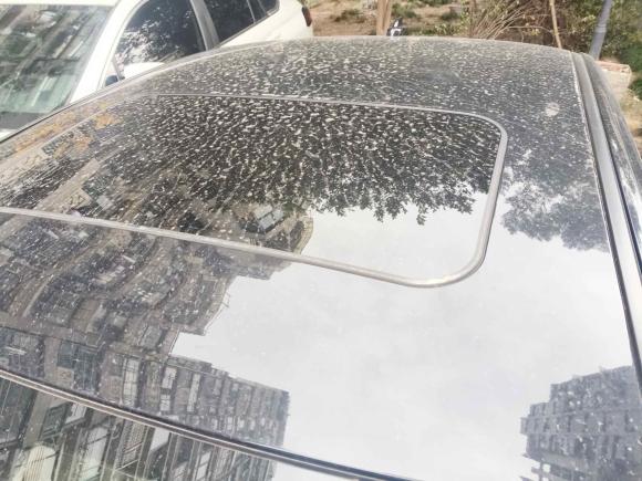 [杭州·浙A] 二手红旗红旗H72017款 2.0T 豪华型