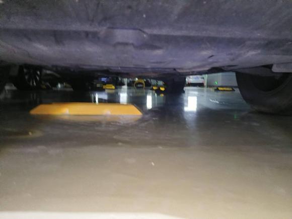 [佛山·粤A] 二手斯巴鲁森林人2019款 2.0i 豪华版