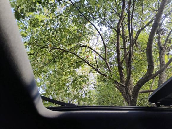 [上海·苏E] 二手长安欧尚长安欧尚Z6新能源2023款 智电iDD 150KM旗舰PLUS智慧泊车版