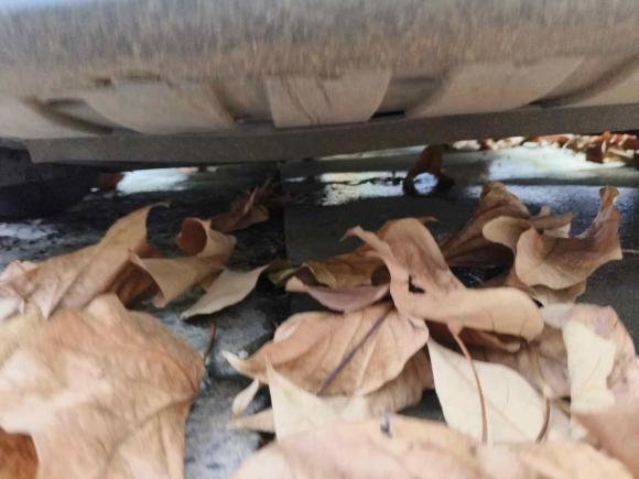 [上海·沪D] 二手福特福克斯2015款 两厢 EcoBoost 125 自动超能风尚型