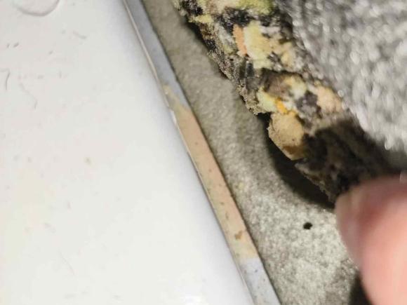 [深圳·粤B] 二手英菲尼迪英菲尼迪Q50L2015款 2.0T 悦享版