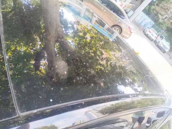 [南京·苏A] 二手特斯拉Model Y2023款 后轮驱动版