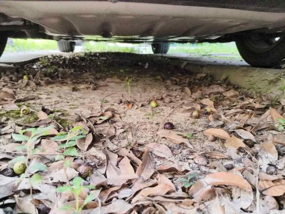 [嘉兴·浙F] 二手宝马宝马3系2014款 320i 运动设计套装