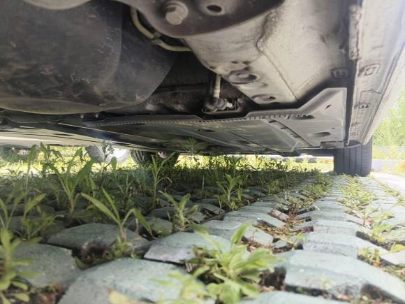 [宁波·浙B] 二手大众高尔夫2015款 1.6L 自动舒适型