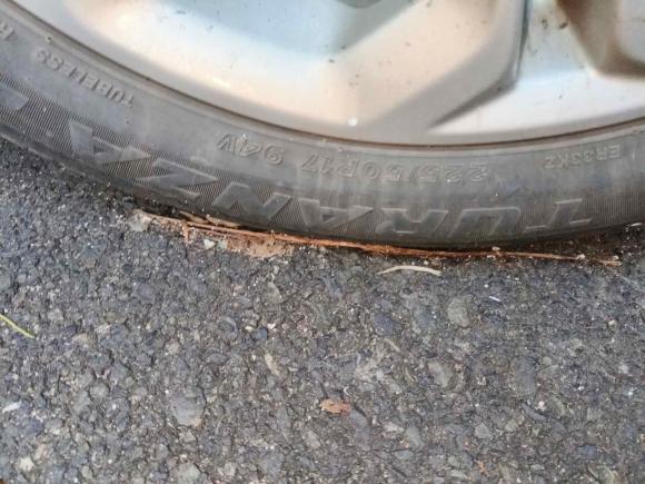 [深圳·粤S] 二手本田雅阁2023款 260TURBO 智享版