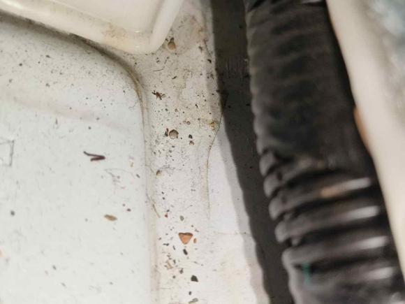 [广州·粤A] 二手本田奥德赛2017款 2.4L 至尊版