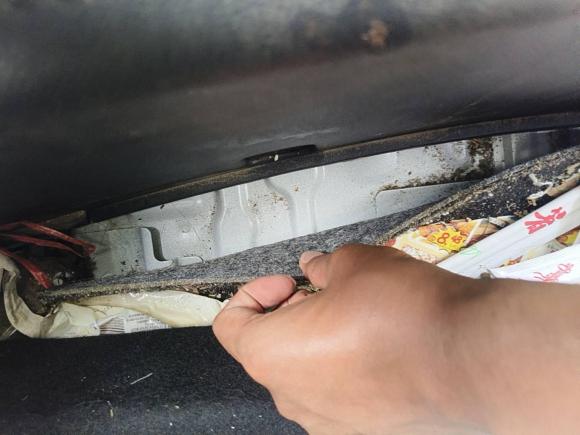 [南通·苏F] 二手荣威科莱威CLEVER2022款 311km元气啵啵版