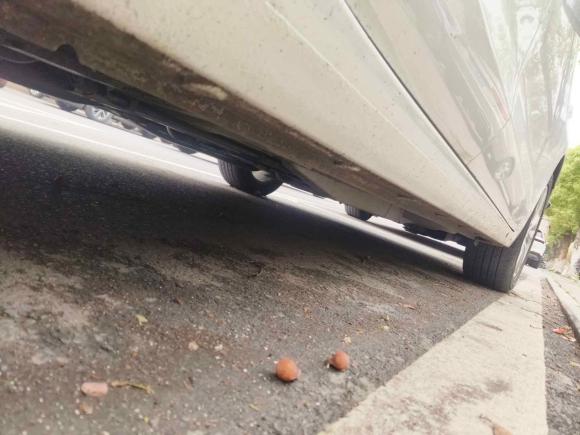 [嘉兴·浙F] 二手别克英朗2021款 改款 典范 1.5L 自动精英型