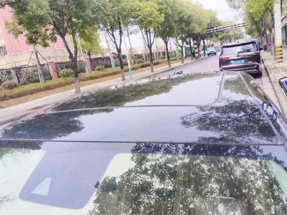 [金华·浙G] 二手红旗红旗H92020款 2.0T 智联旗享版