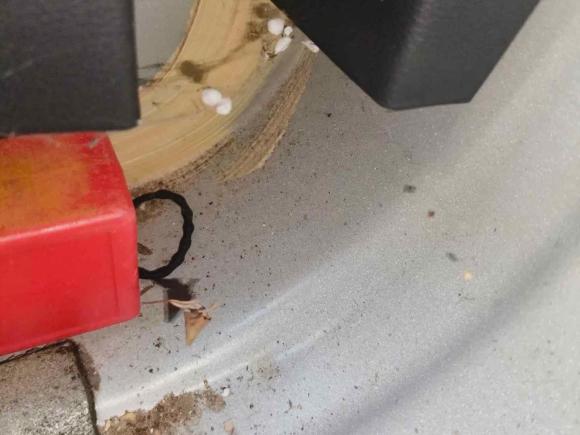 [杭州·浙A] 二手名爵名爵ZS2017款 1.5L 自动精英版