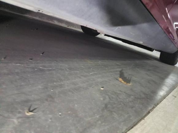 [苏州·苏E] 二手福特福克斯2015款 两厢 1.6L 自动舒适型