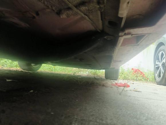 [深圳·粤S] 二手本田思域2019款 220TURBO CVT劲动版 国VI