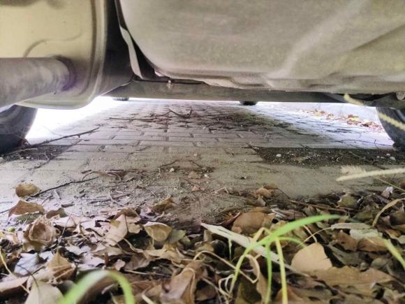 [上海·苏F] 二手日产轩逸2012款 1.6XE 手动舒适版