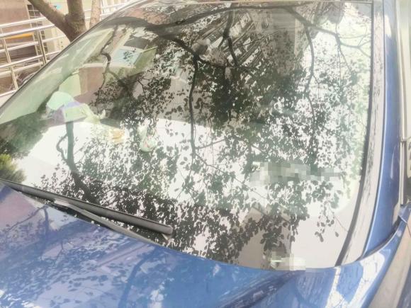 [上海·沪F] 二手英菲尼迪英菲尼迪QX502020款 2.0T 四驱菁英版