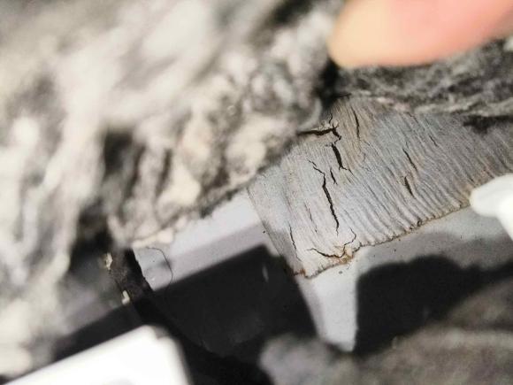 [合肥·皖A] 二手大众朗逸2023款 改款 1.5L 自动得逸版